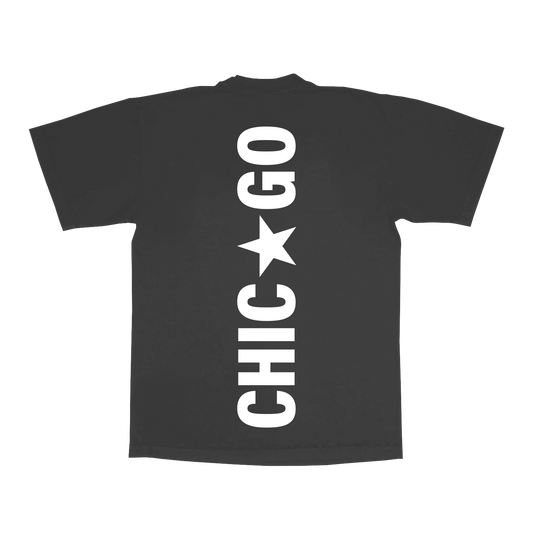 Grey Beyoncé merch CHI web exclusive tee back view with bold vertical Chicago star lettering