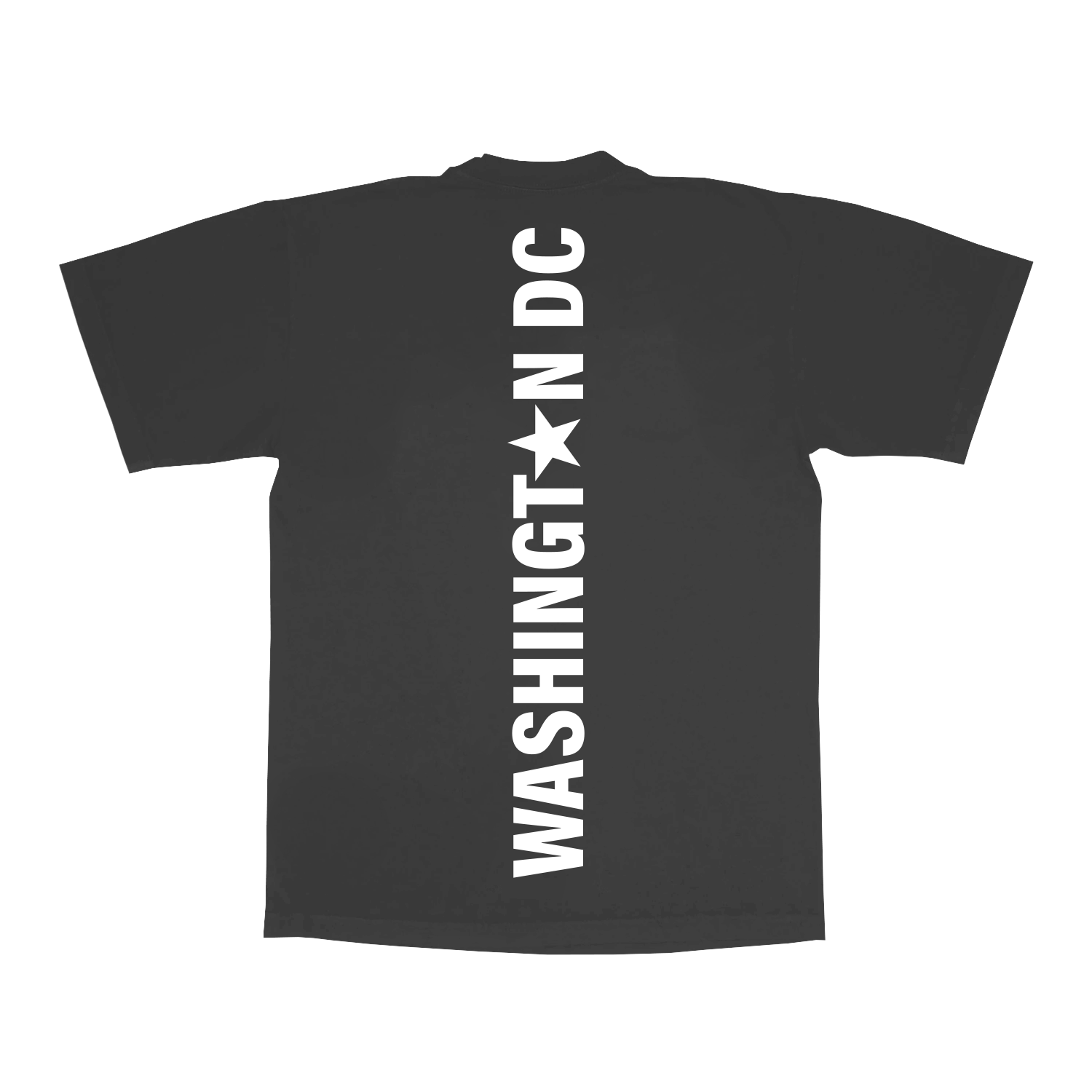Grey Beyoncé merch DC web exclusive tee back view with vertical Washington DC star lettering