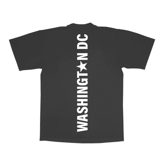 Grey Beyoncé merch DC web exclusive tee back view with vertical Washington DC star lettering